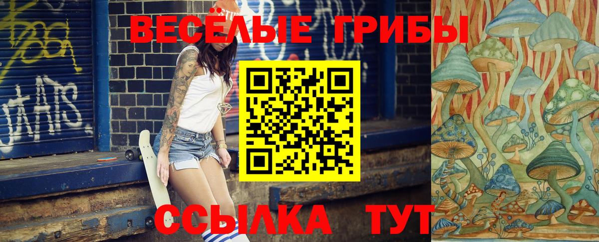 Псилоцибиновые грибы Psilocybine cubensis Иркутск